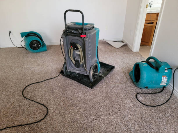 Best Mold removal after water damage  in Boone, NC