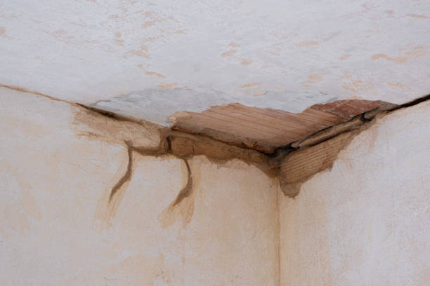 Best Residential water damage restoration  in Boone, NC