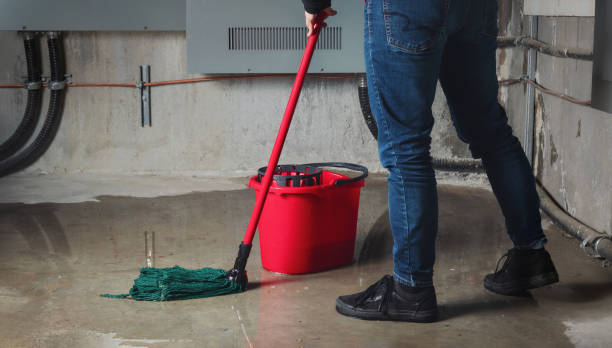 Best Flood restoration services  in Boone, NC