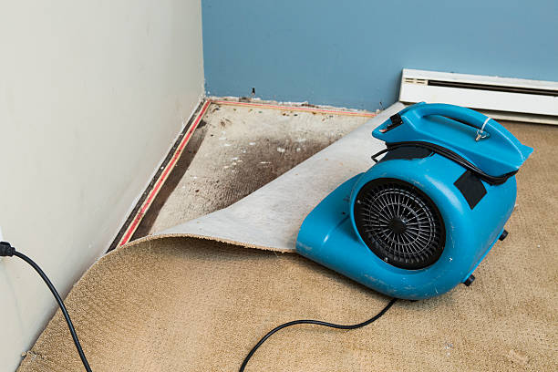 Best Residential water damage restoration  in Boone, NC